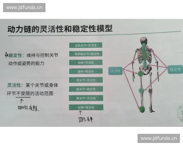 全面提升关节灵活性的系统化科学训练与日常保养实用全程指南
